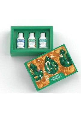 Saugella Christmas Box Verde - Kit Protezione - Dermoliquido 100 millilitri + Intimo&Corpo 100 millilitri + Acti3 100millilitri