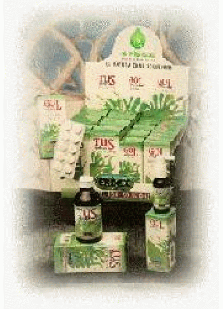 GUARANA 100CPS 430MG