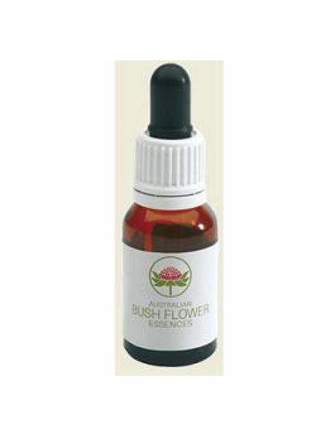 GREEN SPIDER ORCHID AUSTR 15ML