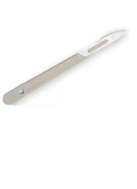 BISTURI MON STER 10 10PZ PBPHARM