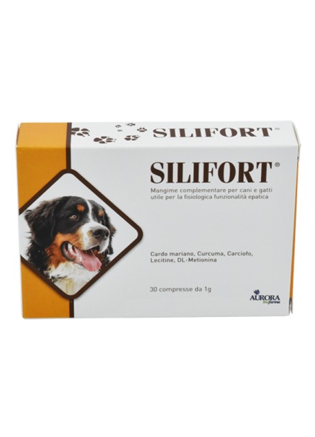 SILIFORT 30CPR 1G