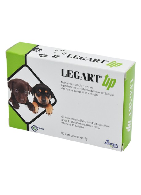 LEGART UP 60CPR VET