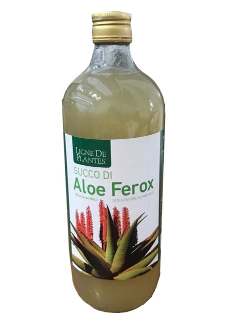 SUCCO ALOE FEROX BIO 1LT