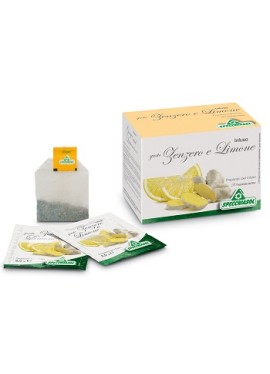 INFUSO TISANA CURC+LIM+MIE 20F