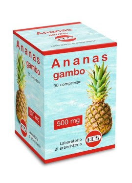 ANANAS GAMBO 90CPR 500MG