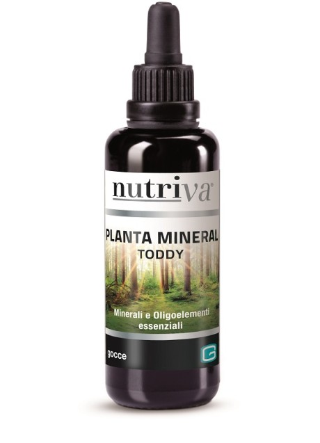 NUTRIVA PLANTA MINERAL TODDY 50M