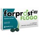 Forprost 400 Flogo 15 capsule molli - integratore per la prostata