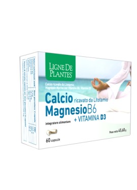 CALCIO+MAGNESIO B6+VITD3 60CPS