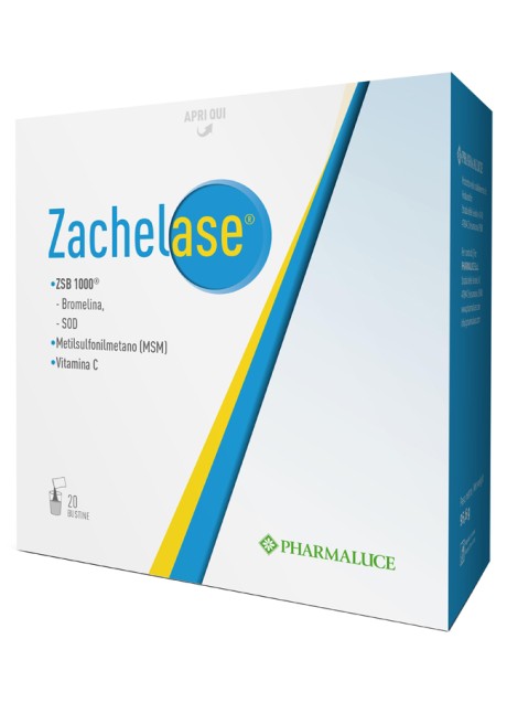 ZACHELASE 20BUST