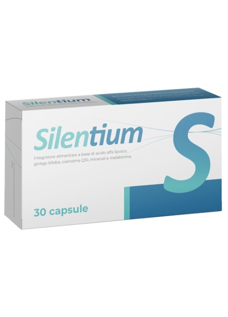 SILENTIUM 30CPS SEIKOU