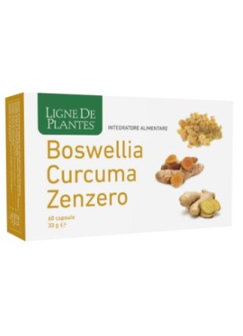 BOSWELLIA CURCUMA ZENZERO60CPS