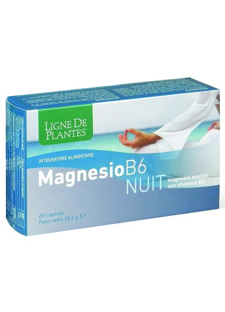 MAGNESIO B-6 NUIT 72CPS