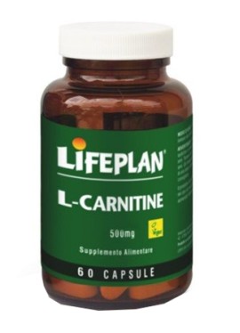 L-CARNITINE 500MG 60CPS