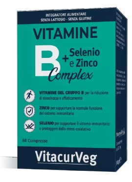 VITAMINA B COM60CPR VITACURVEG