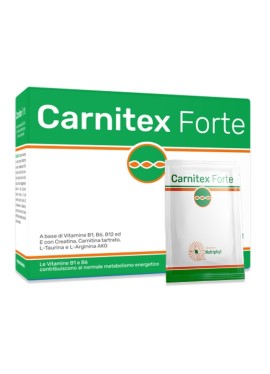 CARNITEX FORTE 20BUST