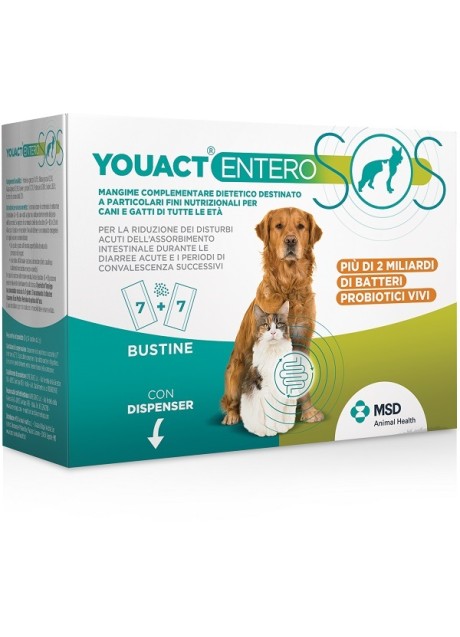 YOUACT ENTERO SOS 14BUST