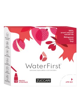 WATER FIRST MELOGRANO-LITCHI-GOJI 12 STICK PACK
