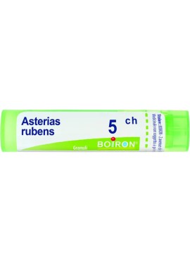 ASTERIAS RUBENS 5CH GR BO