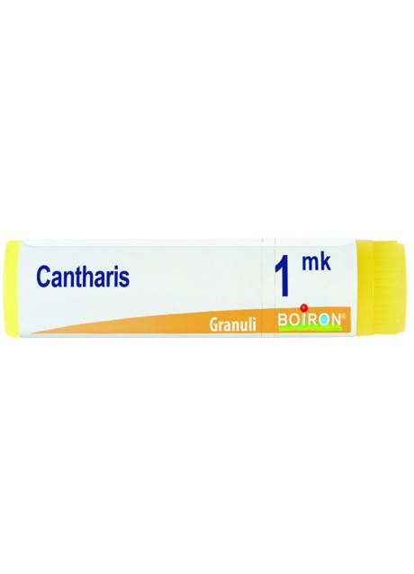 BO.CANTHARIS MK GL