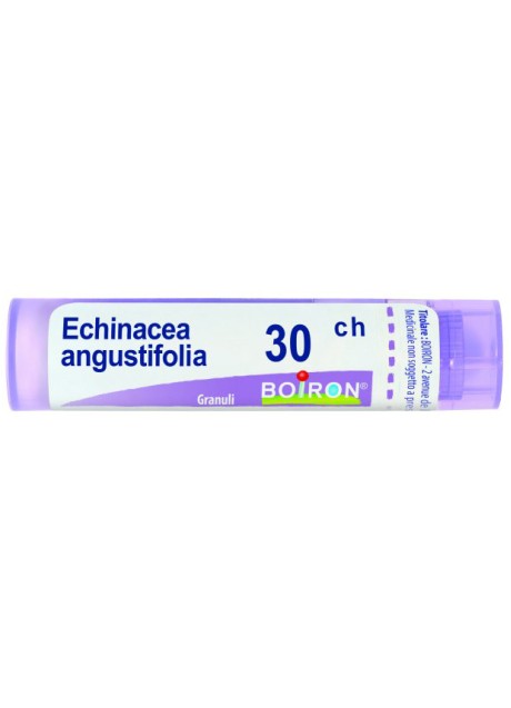 ECHINACEA ANGUSTIFOL 30CH GR BO