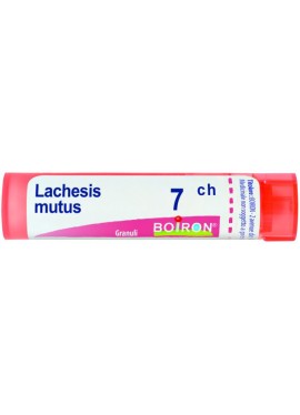 BO.LACHESIS 7CH TUBO