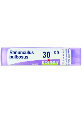 RANUNCULUS BULBOSUS 30CH GR