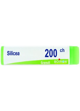 SILICEA 200CH GL BO
