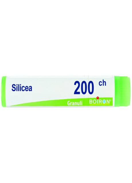 SILICEA 200CH GL BO