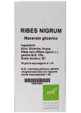 RIBES NIGRUM MG10% GOCCE 100ML