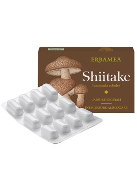 SHITAKE 24CPS VEGETALI