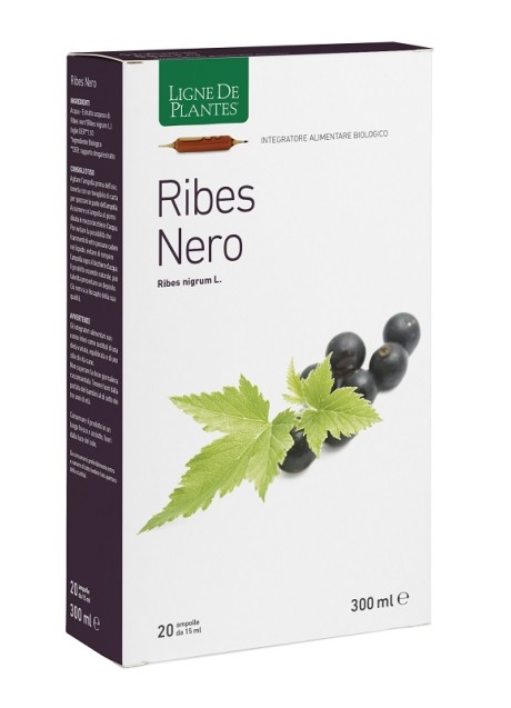 RIBES NERO BIO 20AB 15ML