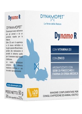 DYNAMO R 20STICK 2 5G