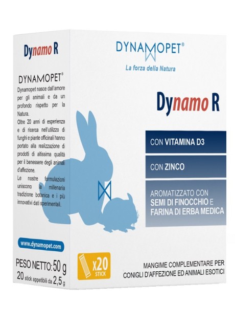 DYNAMO R 20STICK 2 5G