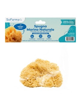 SPUGNA MARINA NATURALE MAXI SF+