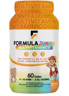 FORMULA MULTIVITAMINICO J 60PZ