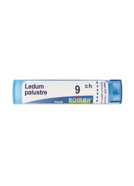 LEDUM PALUSTRE 9CH GR BO