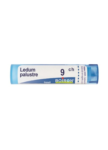 LEDUM PALUSTRE 9CH GR BO