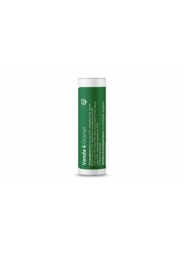 VANDA 6*1 contenitore multid 4 g 80 granuli