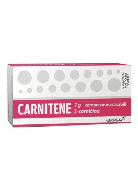 CARNITENE*10 cpr mast 1 g