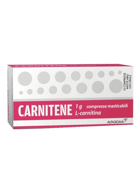 CARNITENE*10 cpr mast 1 g