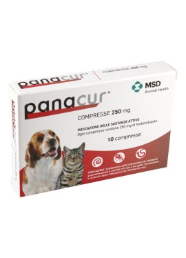 PANACUR*10CPR 250MG CAN/GAT GMM