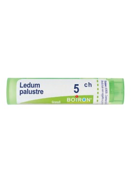 LEDUM PALUSTRE 5 CH GRANULI