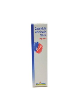 CALENDULA 4% 20GR POM BO<<