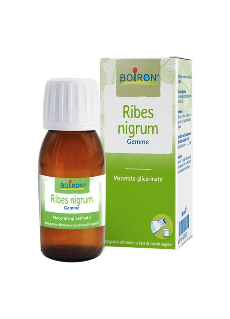 BO.RIBES NIGRUM 7CH TUBO