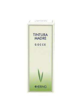 HYPERICUM PERFOR 125ML TM