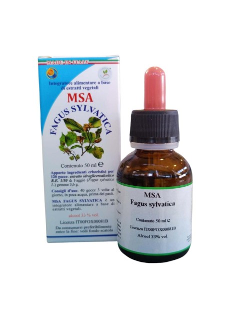 MSA FAGUS SYLVATICA 50ML