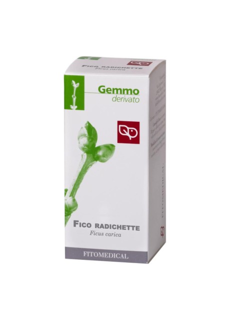 FICO RADICHETTE GTT 50ML MG