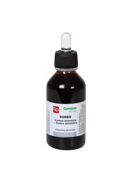 SORBO 100ML MG FTM