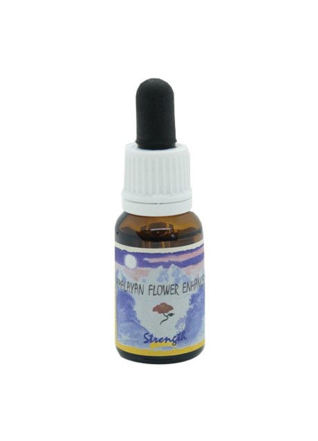 STRENGTH ESS 15ML