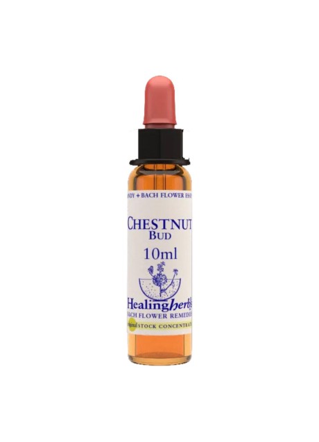 CHESTNUT BUD ESS 10ML INGL HER